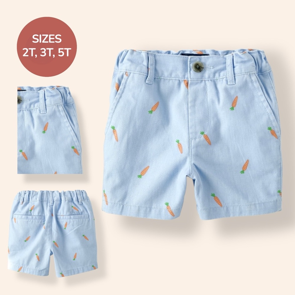 Boys Light Blue Carrot Print Flat-Front Shorts – Sizes 2T, 3T & 5T